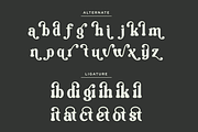 Vilmely Story - Retro Elegant Font, a Serif Font by Font Liner (Thumbnail 12 of 13)