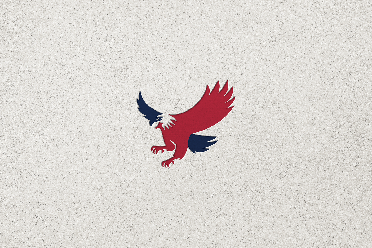 Minimalist Modern Eagle Logo, a Branding & Logo Template by Luxury Logos (Photo 4 of 4)
