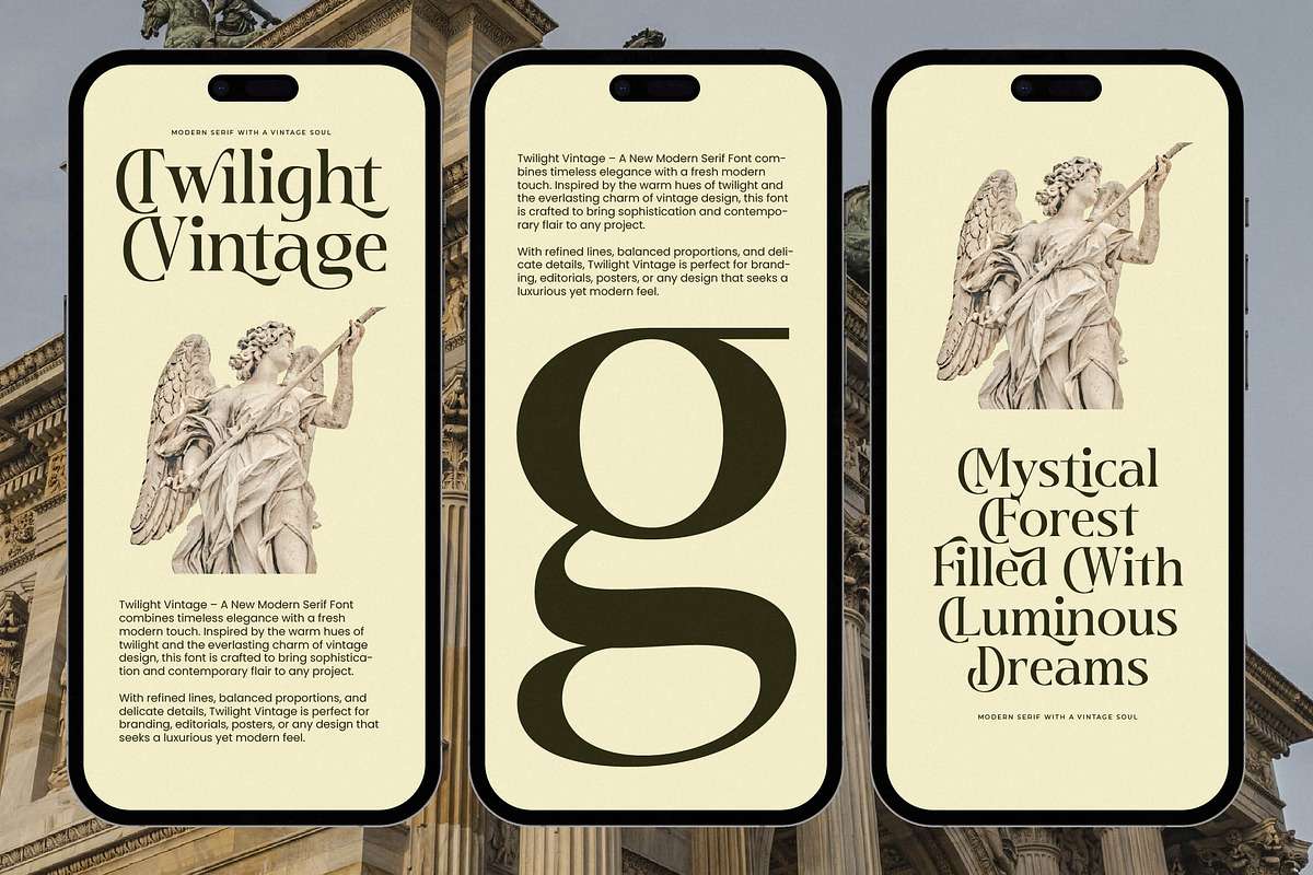 Twilight Vintage Modern Serif, a Serif Font by timelesstype.co (Photo 6 of 20)