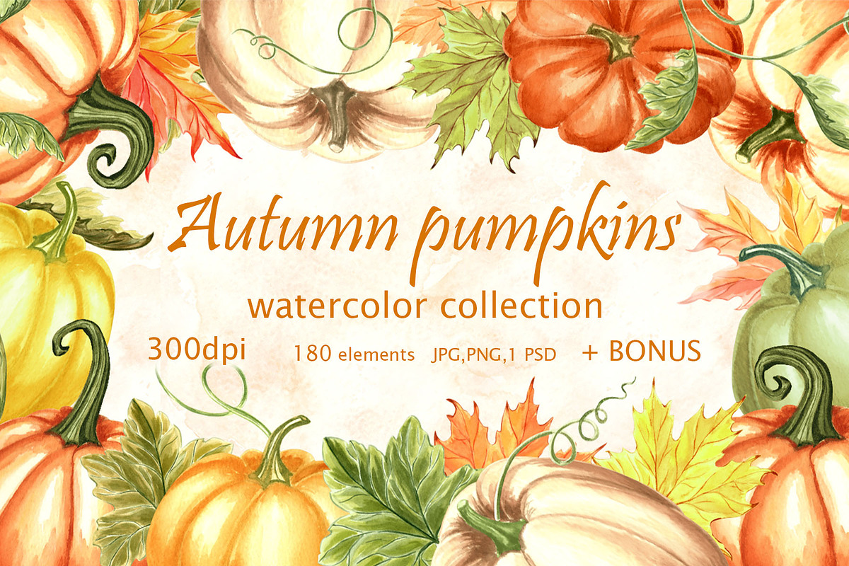 Autumn pumpkins watercolor clipart, a Decorative Illustration by susie-p-art (Photo 1 of 17)