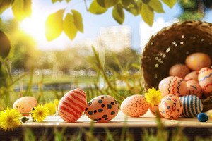 Easter Eggs and Basket in Sunny Garden, a Holiday Photo by Davizro's Market