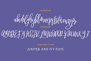 Jessamine, a Script Font by OnTheSpotStudio (Thumbnail 3 of 3)