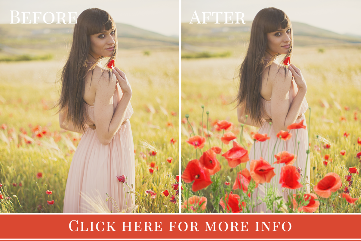 Red Poppies photo overlays set, an Object Graphic by BrownLeopard (Photo 6 of 6)
