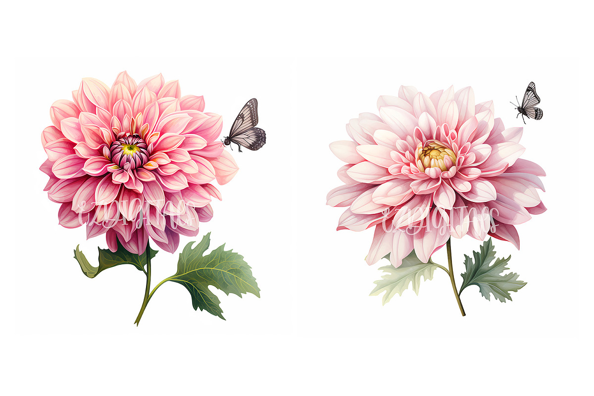 Dahlia Flower and Butterfly Clipart, an Object Graphic by EzDigitals (Photo 4 of 8)