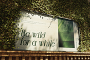 Ankora, a Serif Font by Burntilldead (Thumbnail 11 of 13)