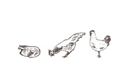 Set of a hand drawn chickens, an Animal Illustration by TheMountBirdStudio (Thumbnail 4 of 5)