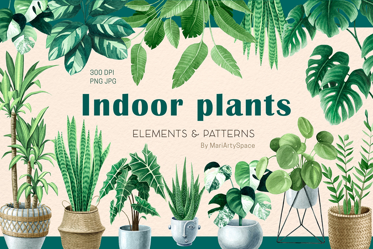 INDOOR PLANTS watercolor clipart set, a Decorative Illustration by MariArtySpace (Photo 1 of 8)