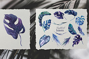 Nightfall Tropics Watercolor Set, an Illustration by Cat In Colour (Thumbnail 5 of 11)