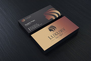 LUXURY Branding Identity, a Stationery Template by Graphic Origin (Thumbnail 5 of 17)