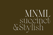 Berneray Serif Font Family, a Serif Font by Ryul Davidson (Thumbnail 2 of 19)