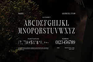 Magistr - Serif Font