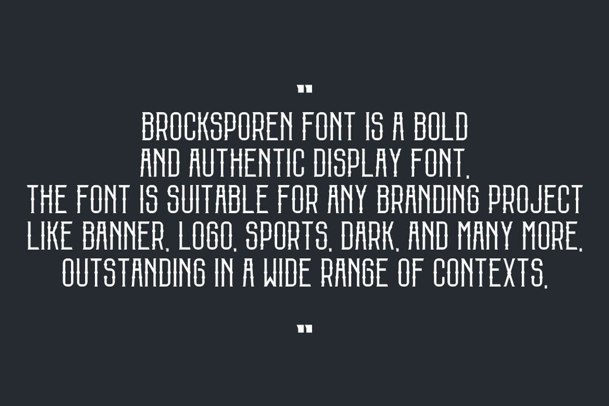 Brocksporen, a Serif Font by QR Design Studio (Photo 4 of 7)