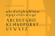 Ashfield - Serif Typeface Font, a Serif Font by Rishsketch (Thumbnail 11 of 15)
