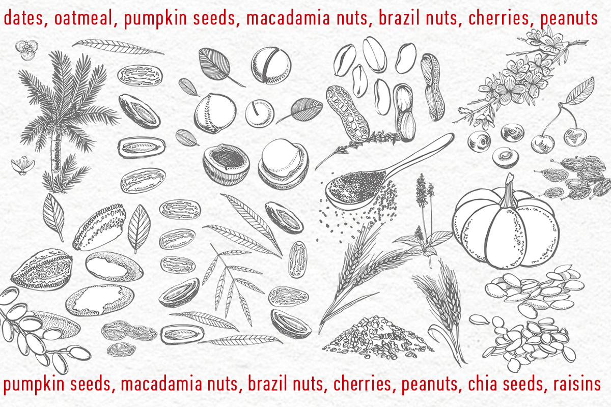 Nuts &  Health snacks, a Food Illustration by Ann Astro (Photo 2 of 12)