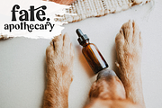 Wildkind | Boho Serif Font, a Serif Font by KA Designs (Thumbnail 12 of 14)