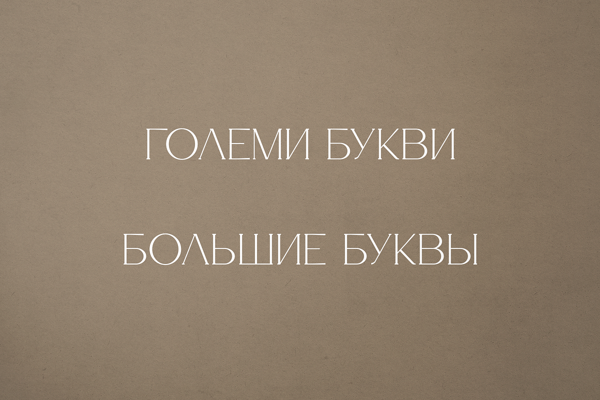 Salve - Elegant Serif + Cyrillic, a Serif Font by VP Fonts (Photo 12 of 20)