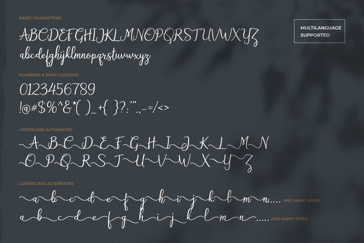 Bryan Letter, a Script Font by Pollux of Geminorum (Photo 10 of 12)