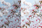 Floral Lightroom Presets, a Layer Style Add-On by Rapita Photography© (Thumbnail 6 of 11)