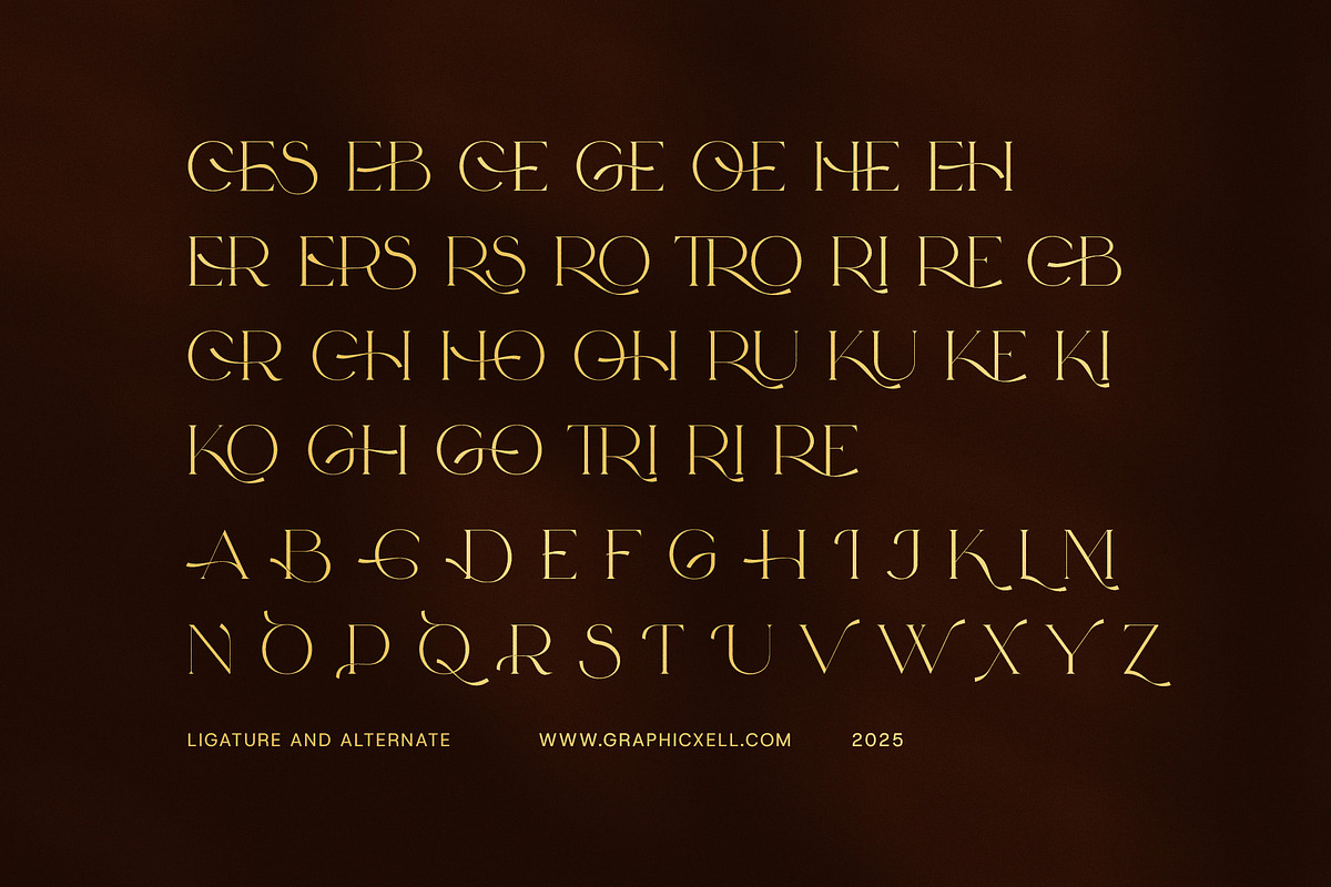 Bicers Elegant Serif Font, a Serif Font by Elegant Font (Photo 7 of 8)