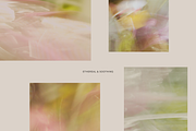 Dreamy Airy Spring Backgrounds, a Background Graphic by eclosque (Thumbnail 9 of 33)