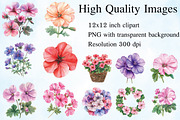 Geranium Flower Watercolor Clipart, an Illustration by Craft Nest (Thumbnail 2 of 5)
