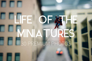 Life of the Miniatures 30 HQ Photos