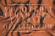 Roman Cavalry, a Serif Font by And Studio (Thumbnail 2 of 14)