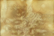 36 ECO Dyed paper - Forest Floor, a Texture Graphic by LianaScrap (Thumbnail 5 of 19)
