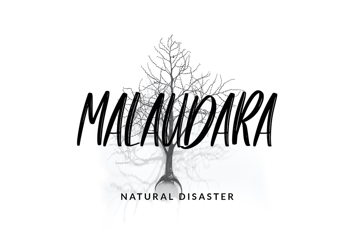 Darkrooms Brushed Font, a Sans Serif Font by Giant Design (Photo 4 of 10)