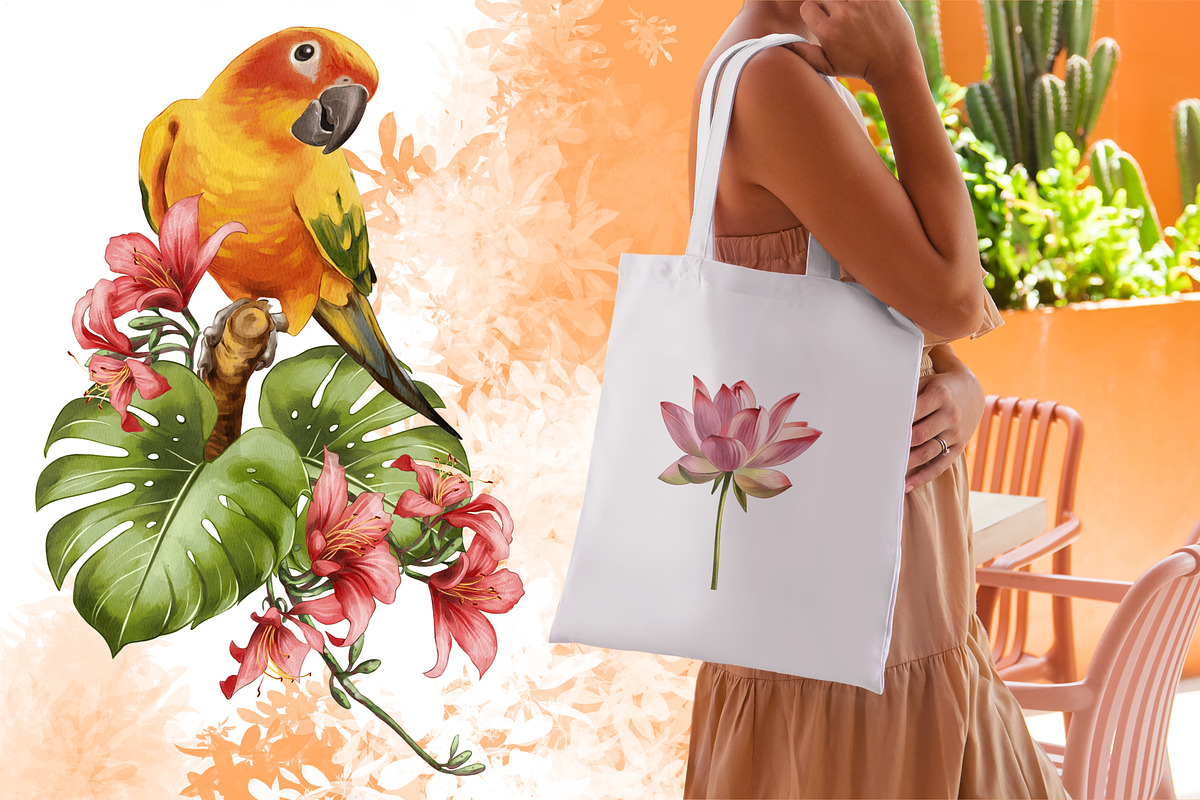 Watercolor tropical birds, an Illustration by IrynaPanashii (Photo 5 of 11)