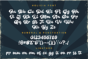 Holicya Retro Font, a Script Font by Dumadistyle (Thumbnail 2 of 12)