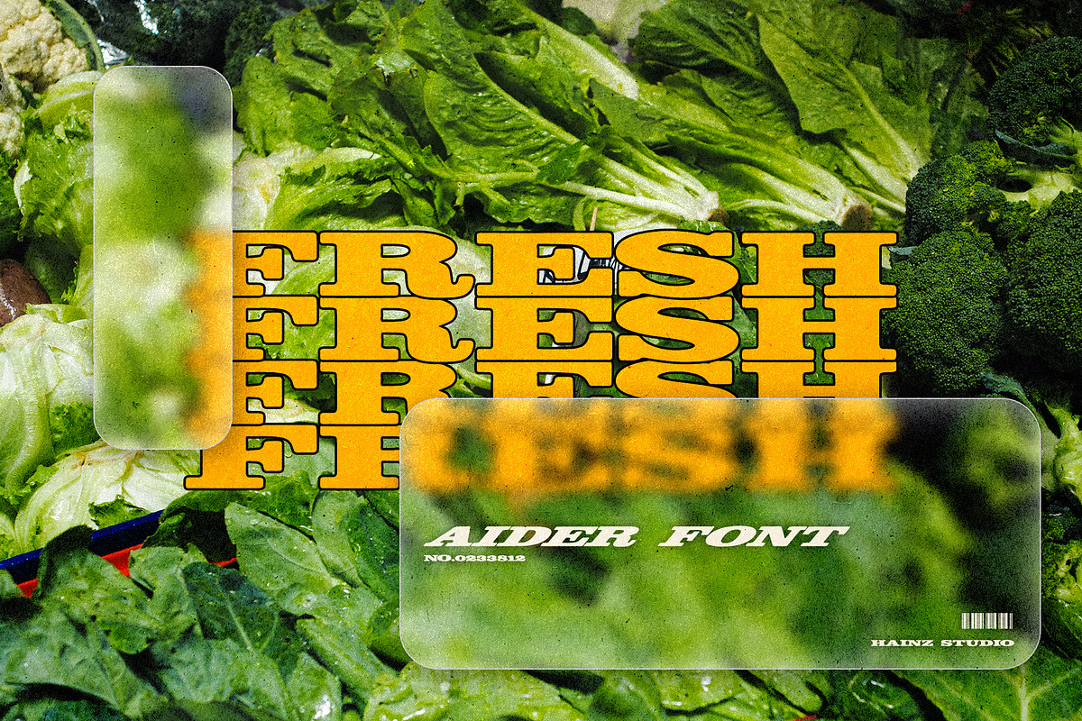 AIDER - Bold Retro Slanted Display, a Slab Serif Font by Hainz Studio (Photo 9 of 10)