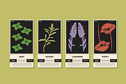 Herbs Illustrations, a Healthcare Illustration by Zhuna (Thumbnail 4 of 10)