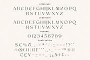 Treading - Modern Font Duo, a Serif Font by Prioritype Co (Thumbnail 12 of 17)