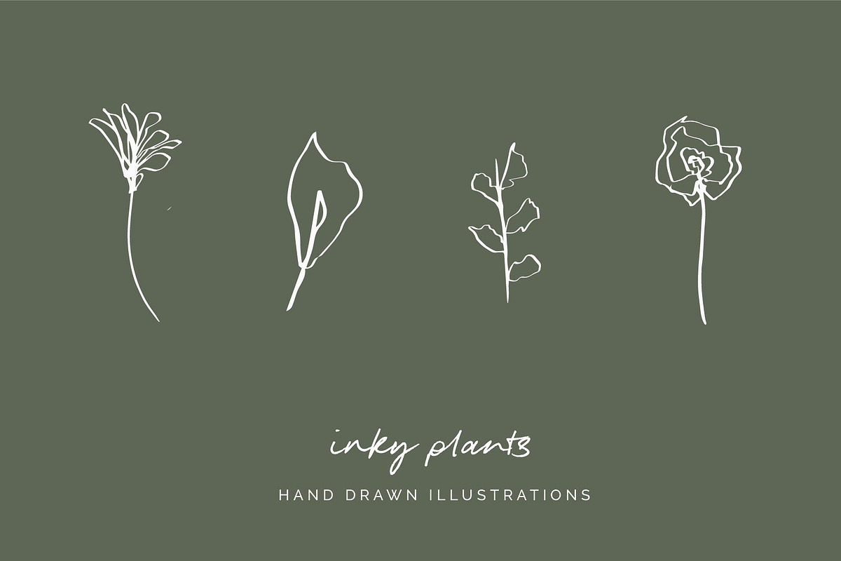 Floral Botanical Plant Illustrations, an Icon by CreativeWilderness (Photo 5 of 11)