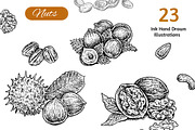 Nuts Set, an Object Graphic by Eugenia Hauss Design (Thumbnail 1 of 2)