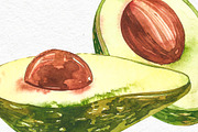 Avocado in botanical style, a Food Illustration by Ann Astro (Thumbnail 2 of 13)