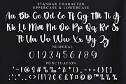 Planner, a Handwritten Font by FreshTypeINK (Thumbnail 4 of 7)