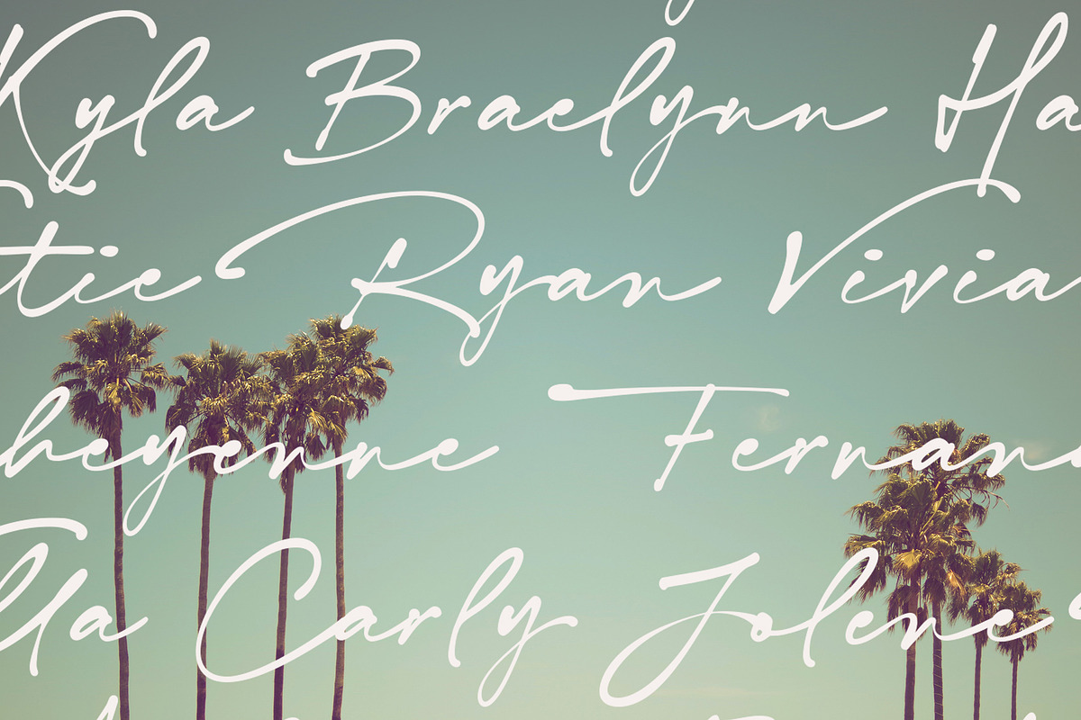 Taylor Demian - Signature Font, a Script Font by Get Studio (Photo 19 of 21)