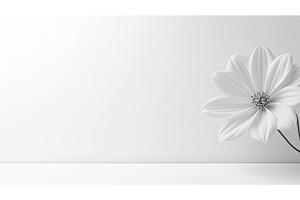 minimalist gray and white background, a Background Photo by pikepicture