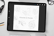 Realistic Siren Watercolor Brushes, a Brush Add-On by Disyukov (Thumbnail 4 of 7)