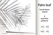 Palm leaf. Hand sketch and patterns, an Illustration by Canatic (Thumbnail 1 of 7)