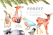 Woodland Watercolor Clipart, an Animal Illustration by Maria B. Paints (Thumbnail 2 of 4)