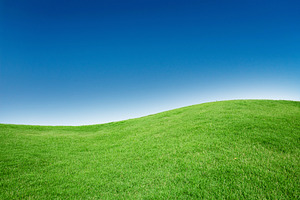 Grass texture with blue sky containing abstract, background, and beautiful