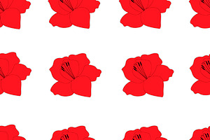 Set Gladiolus Flowers Vector