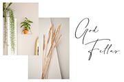 Himalaya | Monoline Signature Font, a Script Font by Moove Studio (Thumbnail 7 of 8)