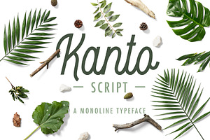 Kanto Script | A Monoline Typeface