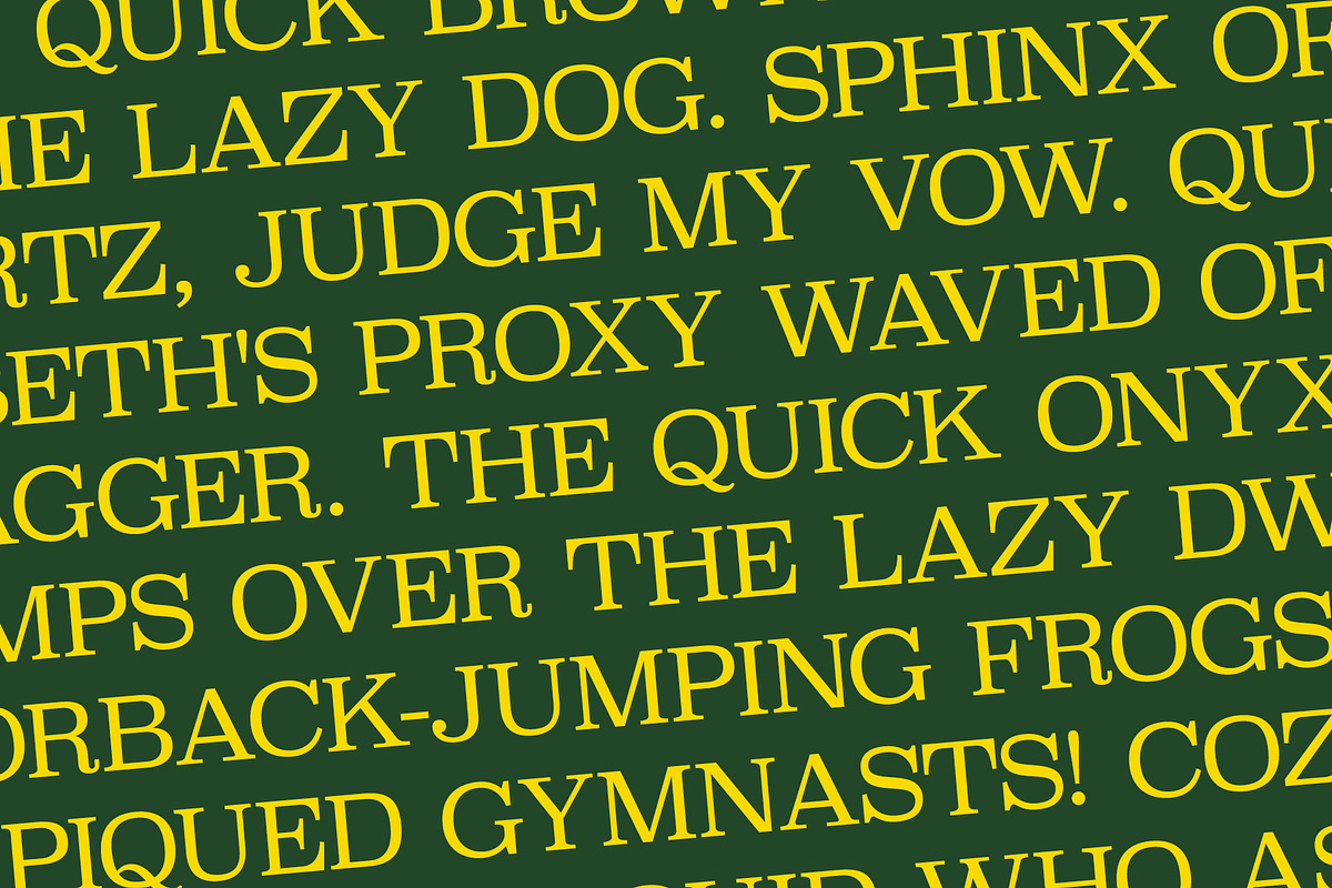 Debut - Serif & Script Duo, a Script Font by Loudoun Design Co. (Photo 8 of 9)