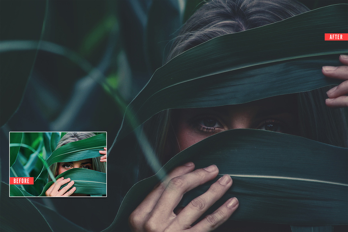 Dark Light Photoshop Action, an Action Add-On by Design Forest (Photo 7 of 8)