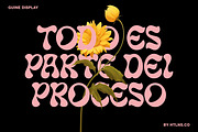 Guine Display, a Font by HTLNS.co (Thumbnail 5 of 6)